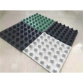 Construction Black 8 MM HDPE Plastic Dimple Drainage Board for Roof Garden